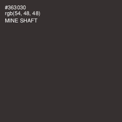 #363030 - Mine Shaft Color Image